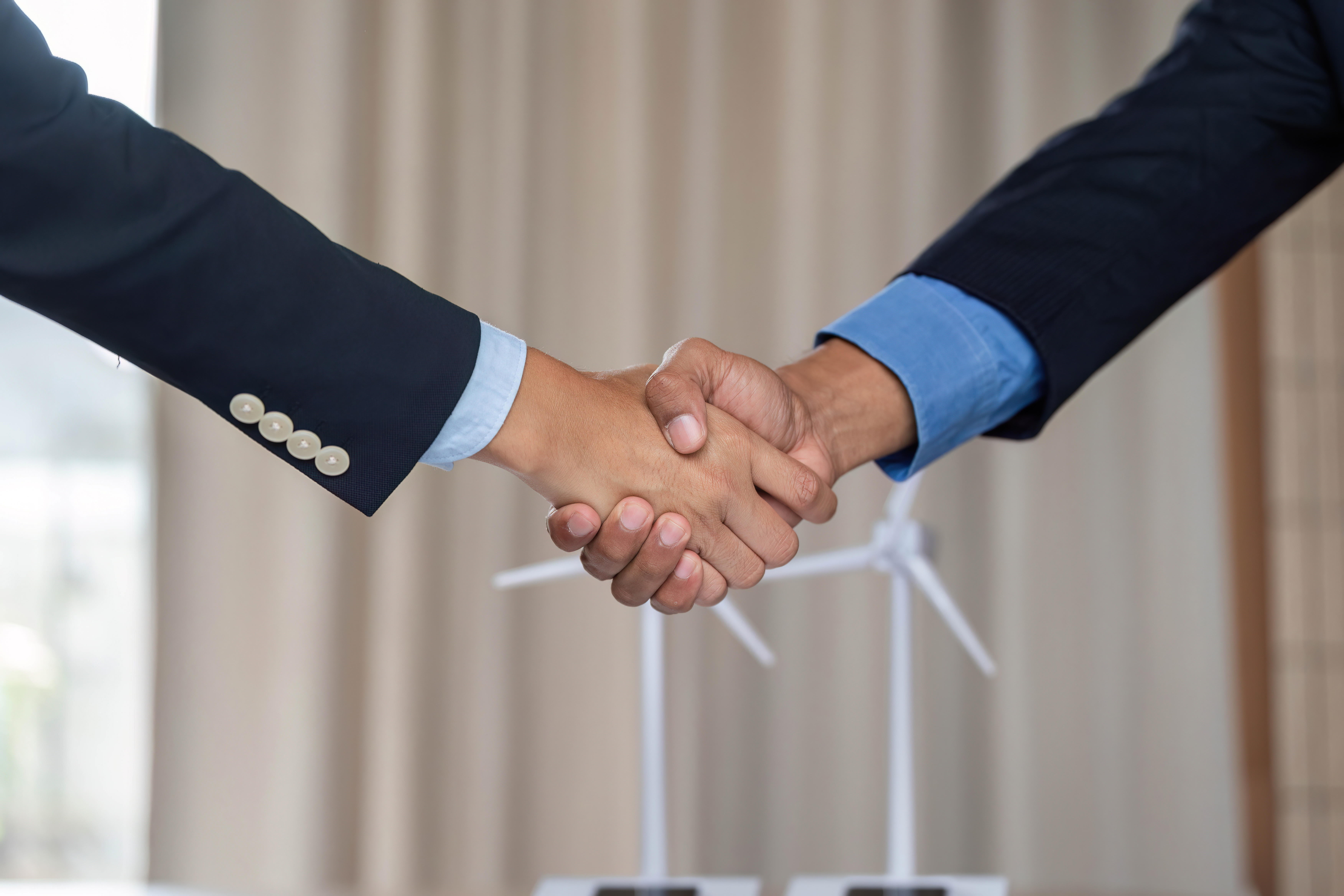 Business professional handshake